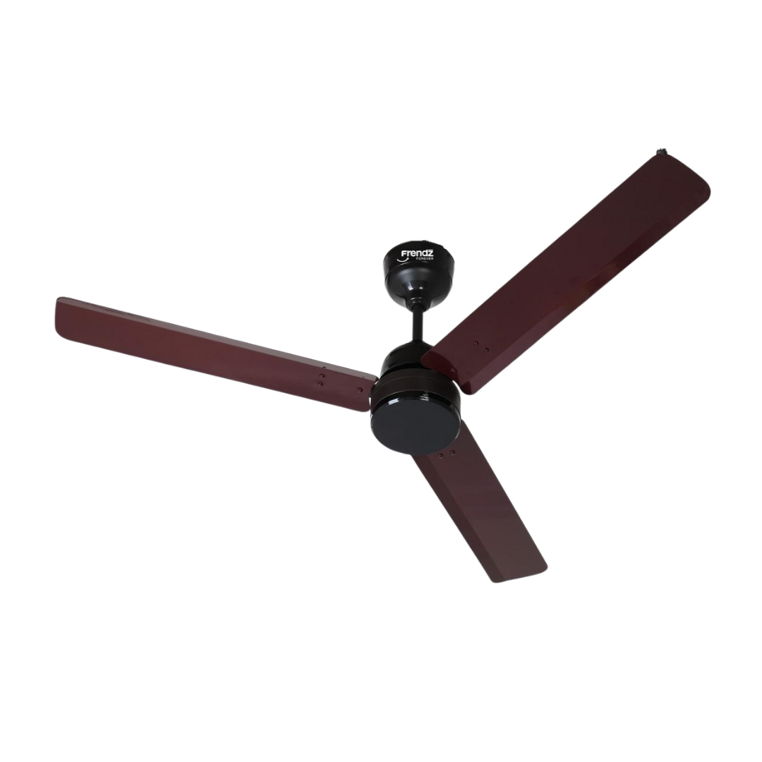Ceiling Fan